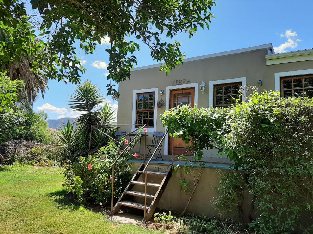 קליצדורפ Karoo Life B&B מראה חיצוני תמונה