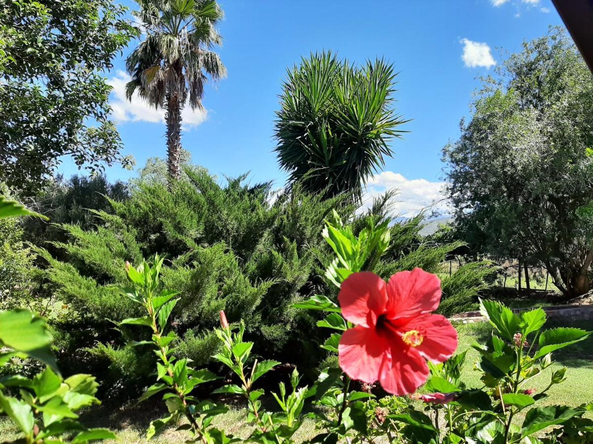 קליצדורפ Karoo Life B&B מראה חיצוני תמונה